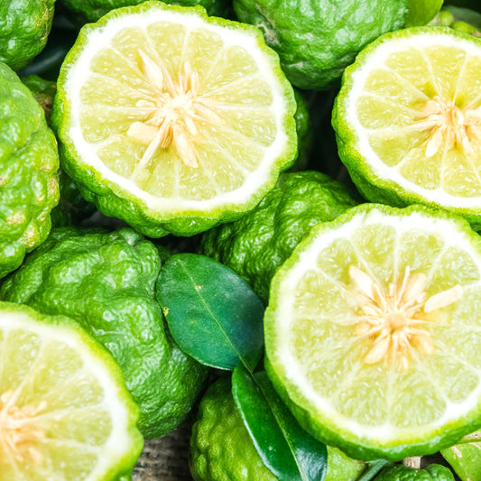 Gel fijador natural para cabello - Màna Labs