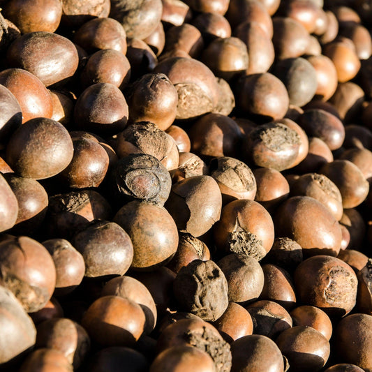 Crema hidratante natural con karité - Màna Labs